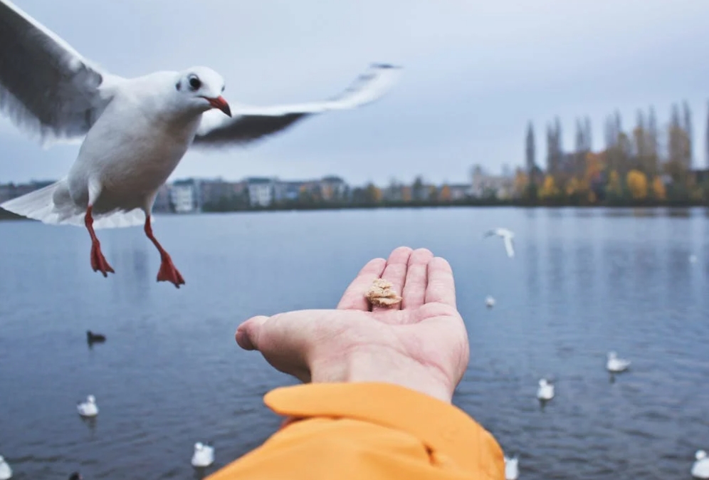 相信自己的直覺