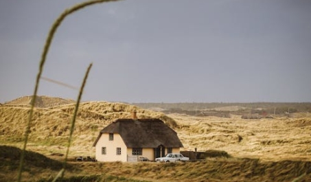 不是在玩弄心機。 不是在玩弄心機。